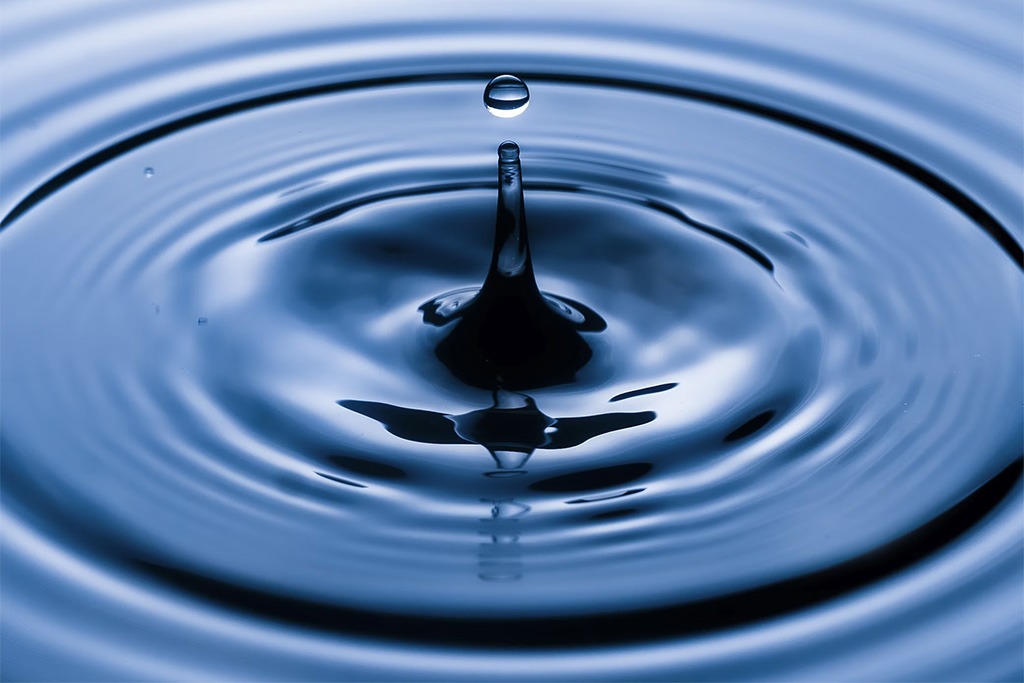 Acqua memoria e informazione